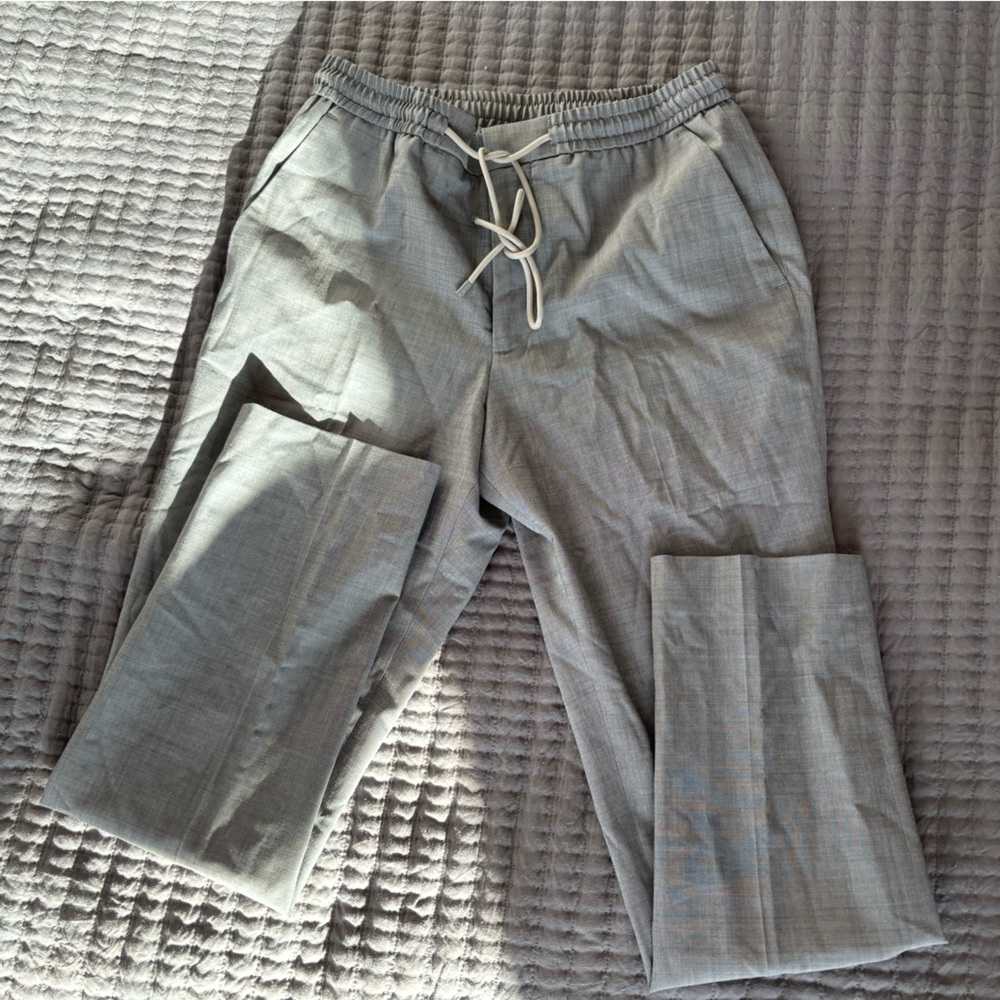 Express Dress Pants